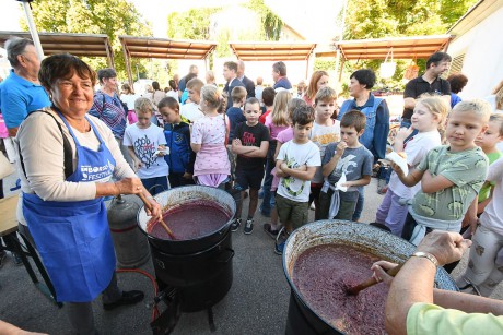 Nyitott Piacok Napja volt pénteken a Városi Piacon